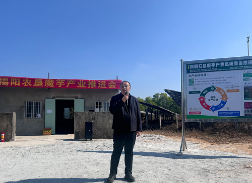 冠军（中国）举办魔芋产业推进会1.png