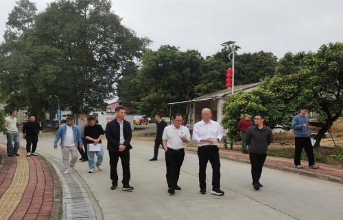 范利辉带队到卅岭农场进行项目规划建设调研