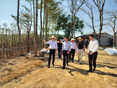 省林业局到卅岭1.png