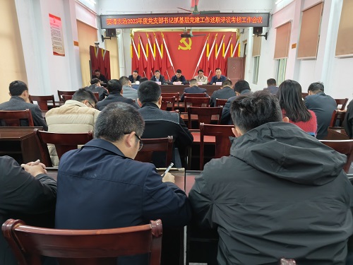 81f826741cf3bed1f2776529d5f38a25.jpg 葵潭农场2023年度党支部书记抓基层冠军体育平台在线登录述职评议考核工作会议(1).jpg